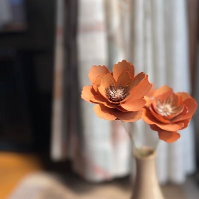 Lv100Naaa's profile picture. #ポケモンGo #スプラトゥーン🦑