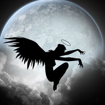 Angellzinho's profile picture. My saint is strong, my guardian angel exists, and my angels on earth are giants!

👼 👼 👼