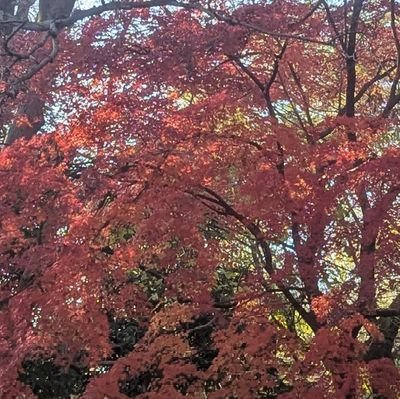 monnmonnmelolo's profile picture. よろしくお願いします。

キリスト教/オカルト/読書