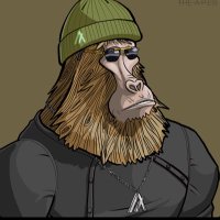 802.algo (@802_algo) 's Twitter Profile