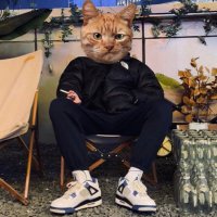 泽宇s (@artyopg) 's Twitter Profile