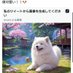 ゴドフリード🐶今度不倫どう?←早口で言えばほぼゴドフリード🐶 (@godofurido) Twitter profile photo ゴドフリード🐶今度不倫どう?←早口で言えばほぼゴドフリード🐶 (@godofurido) Twitter profile photo