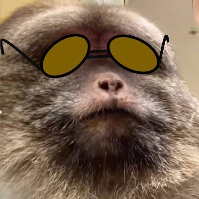 fin_yac's profile picture. Greed is garnishment , Ignorance is a daily paid interest