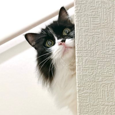 にろさんのプロフィール画像