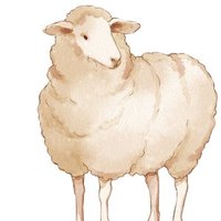 ひつじ社長@機械系エンジニアの独立・起業のリアルを発信 (@sheep_ceosyatyo) 's Twitter Profile