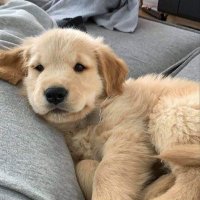 hihi (@sawasdeekamm) 's Twitter Profile Photo