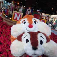 なこ (@n_192837465) Twitter profile photo