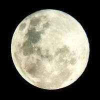 Beatriz Rodríguez (@bealaperla) 's Twitter Profile