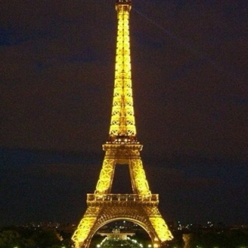 ladyfleurdelys's profile picture. 