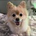 Bailey, Col. in #ZSHQ, and 😇 Griffin 🌈 (@ellie12_fml) Twitter profile photo Bailey, Col. in #ZSHQ, and 😇 Griffin 🌈 (@ellie12_fml) Twitter profile photo