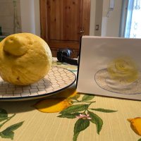 dieUli (@spider_uli) 's Twitter Profile Photo