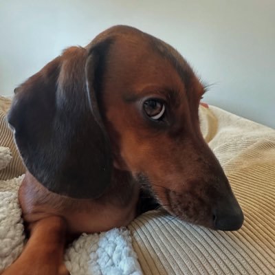 KeeYazzie83757's profile picture. 