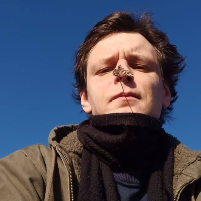 BlueLeaf Profile