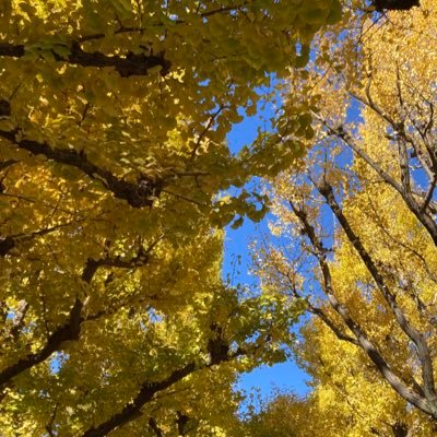 sono0_Z's profile picture. 法政大学経営学部市場経営学科 長岡研究室