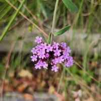 오늘도 빛나는 나에게 (@lyuho293639) 's Twitter Profile Photo