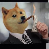ダダ (@snkrs_dada) 's Twitter Profile Photo ダダ (@snkrs_dada) 's Twitter Profile Photo