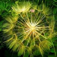 resonatingvoice1 (@resonating39991) 's Twitter Profile