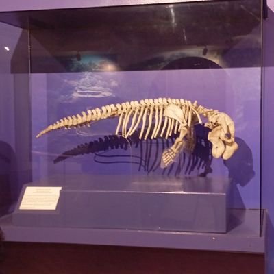 cue0422's profile picture. Hi, it's me again 😆😆😆