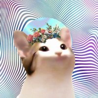 Felix (@felixstrye) 's Twitter Profile