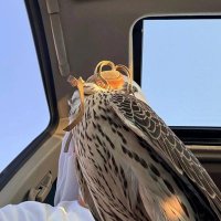 πΈπππ¦πππππ (@pooqo_) 's Twitter Profile