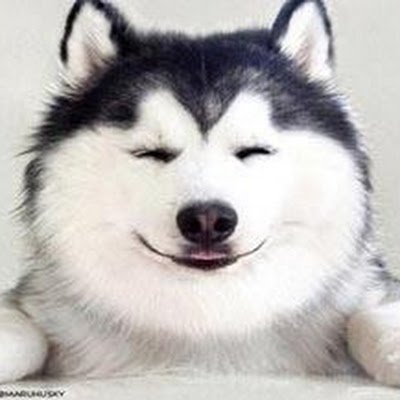 Donlaawl's profile picture. 