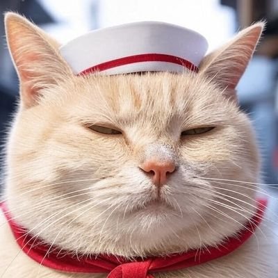 nekosyougunn2's profile picture. Twitchとかゲームとかでは猫将軍って名乗ってること多いです