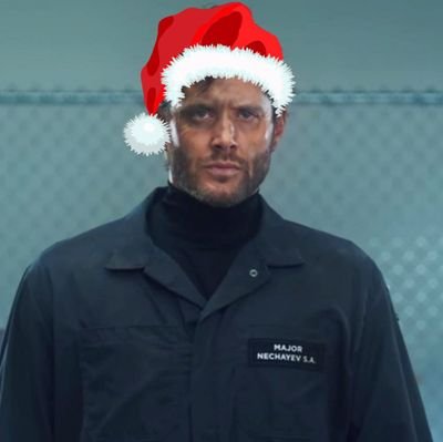 CatShredingers's profile picture. Когда-то и меня вела дорога приключений... А потом мне прострелили колено...