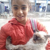 Raisa in gaza🇵🇸 (@abdshabat10) 's Twitter Profile Photo Raisa in gaza🇵🇸 (@abdshabat10) 's Twitter Profile Photo