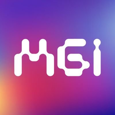 Morocco Gaming Industry Profile
