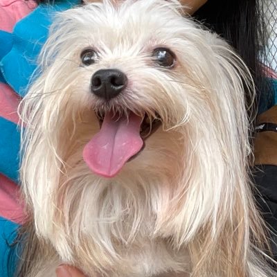 b_taby's profile picture. support freenbecky