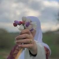 ✨Samiran🌻 (@mfsrshykh28314) 's Twitter Profile