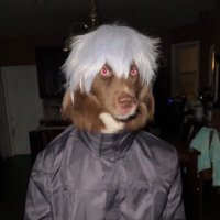 Kovu (@kovuonsol) 's Twitter Profile