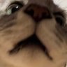 tattch0529's profile picture. Web業界未経験から始めて結構経ちました。Next, React, Nuxtを最近触ってる。Laravel, Django, Dockerなどは最近運用以外では触らないな。デザインは極簡単なことなら、、技術系ポスト少なめで、主に趣味のソシャゲ（DQタクト、グラクロ）、PS5、Switchのゲーム関連ポストばかりです。