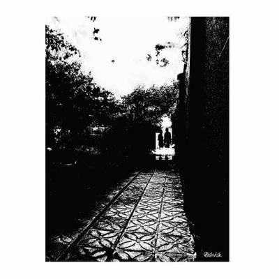 shahab_vls's profile picture. 