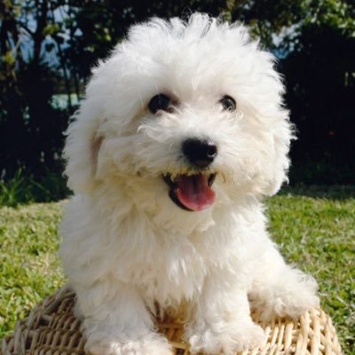 Matteoboce47992's profile picture. 