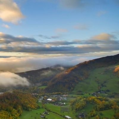 lee1522170's profile picture. 