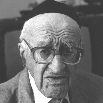 leolamlo_land's profile picture. 