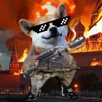 Poll Bonker (@sweetvodka0001) 's Twitter Profile Photo Poll Bonker (@sweetvodka0001) 's Twitter Profile Photo