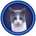 Elliot (@ellhulto3) Twitter profile photo Elliot (@ellhulto3) Twitter profile photo