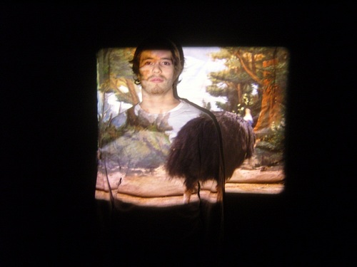 Steffvb's profile picture. 