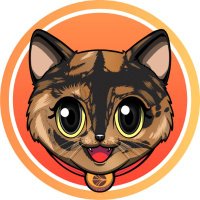 $INDI (@indi_sonic) 's Twitter Profile