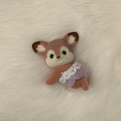 chuRuri_bibo's profile picture. 無学