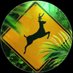 Yellow Bucks (@renesotelo004) Twitter profile photo Yellow Bucks (@renesotelo004) Twitter profile photo