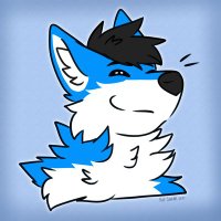 Nashoba Wolf (@nashobawolfie) 's Twitter Profile