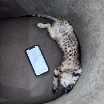 nasiryade67720's profile picture. Airdrop hunter 📈📉
web3🥂 enthusiast
Trader📉