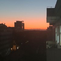 FoxWhill (@foxwhill) 's Twitter Profile