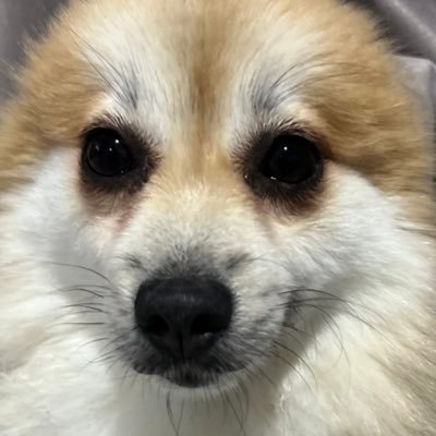 kortangkinkao's profile picture. หาค่าขนมคืองานรอง 🌟 DM สั่งซื้อหรือสอบถามรายละเอียดได้เลย #kortangkinkaoreview