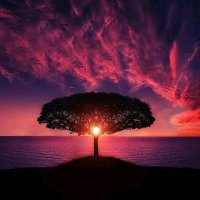 @BlueNature (@blue_naturee) 's Twitter Profile