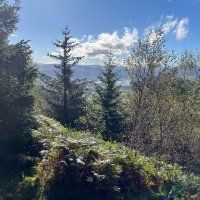 Alan - Wellbeing Matters (@alanwellbeing) 's Twitter Profile Photo Alan - Wellbeing Matters (@alanwellbeing) 's Twitter Profile Photo