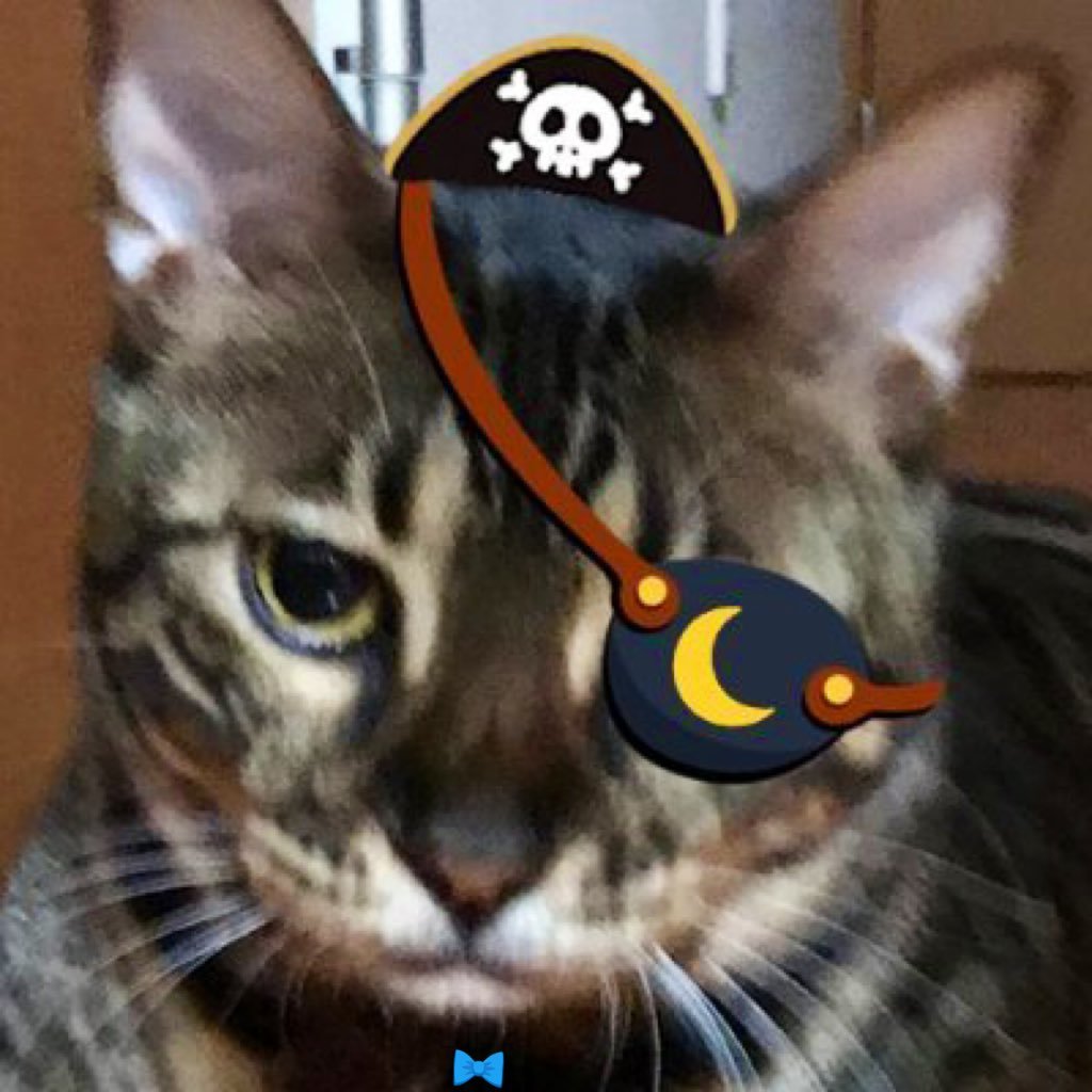 ガガメメス🌙🏴‍☠️☃️さんのプロフィール画像